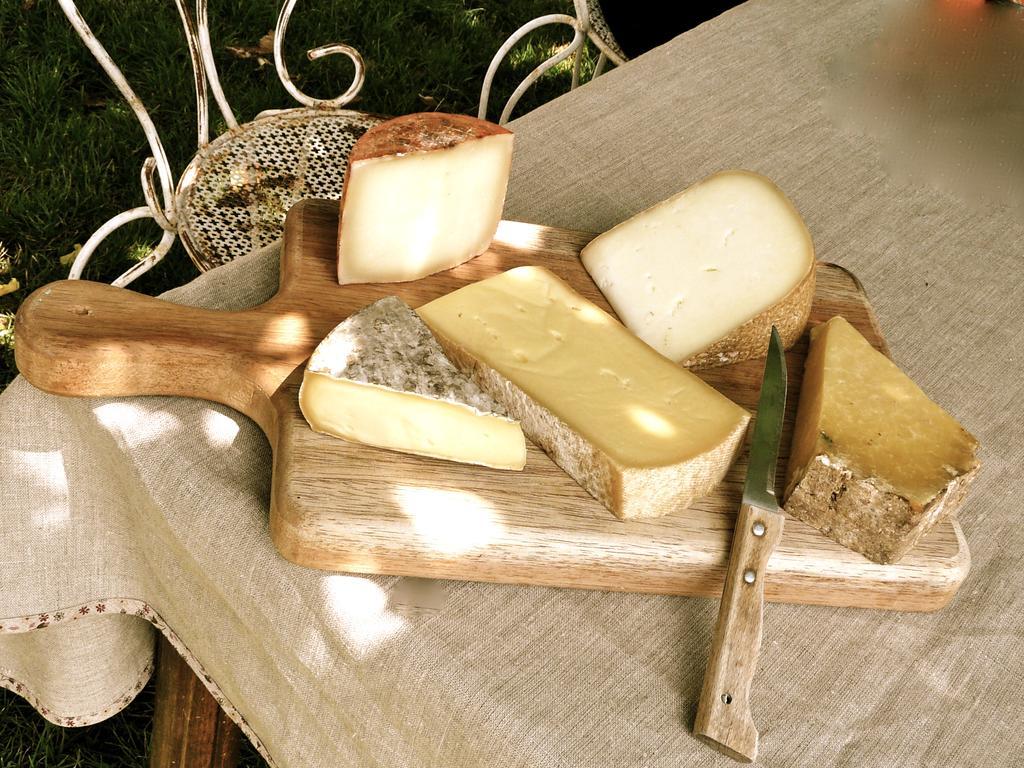 Lisle-sur-Tarn La Frejade Bed & Breakfast エクステリア 写真