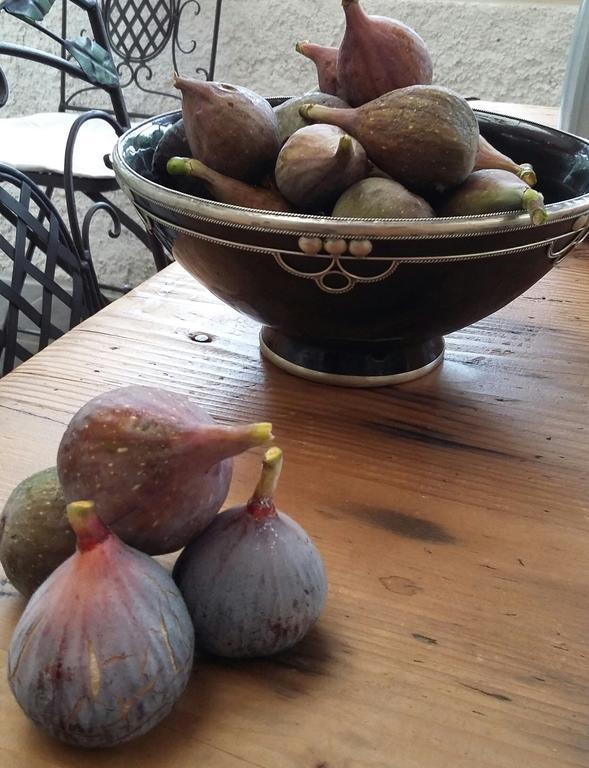 Lisle-sur-Tarn La Frejade Bed & Breakfast エクステリア 写真